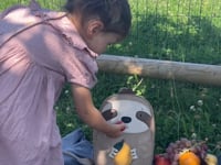 Großes Faultier Norbert