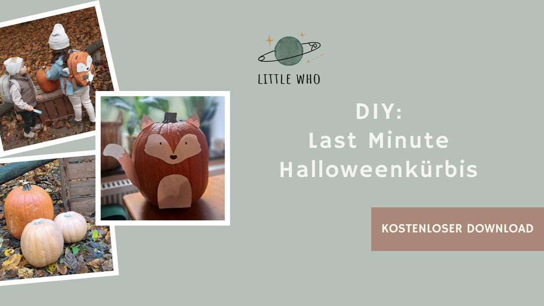 DIY: Last Minute Halloweenkürbis inspiriert von Fuchs Frankie