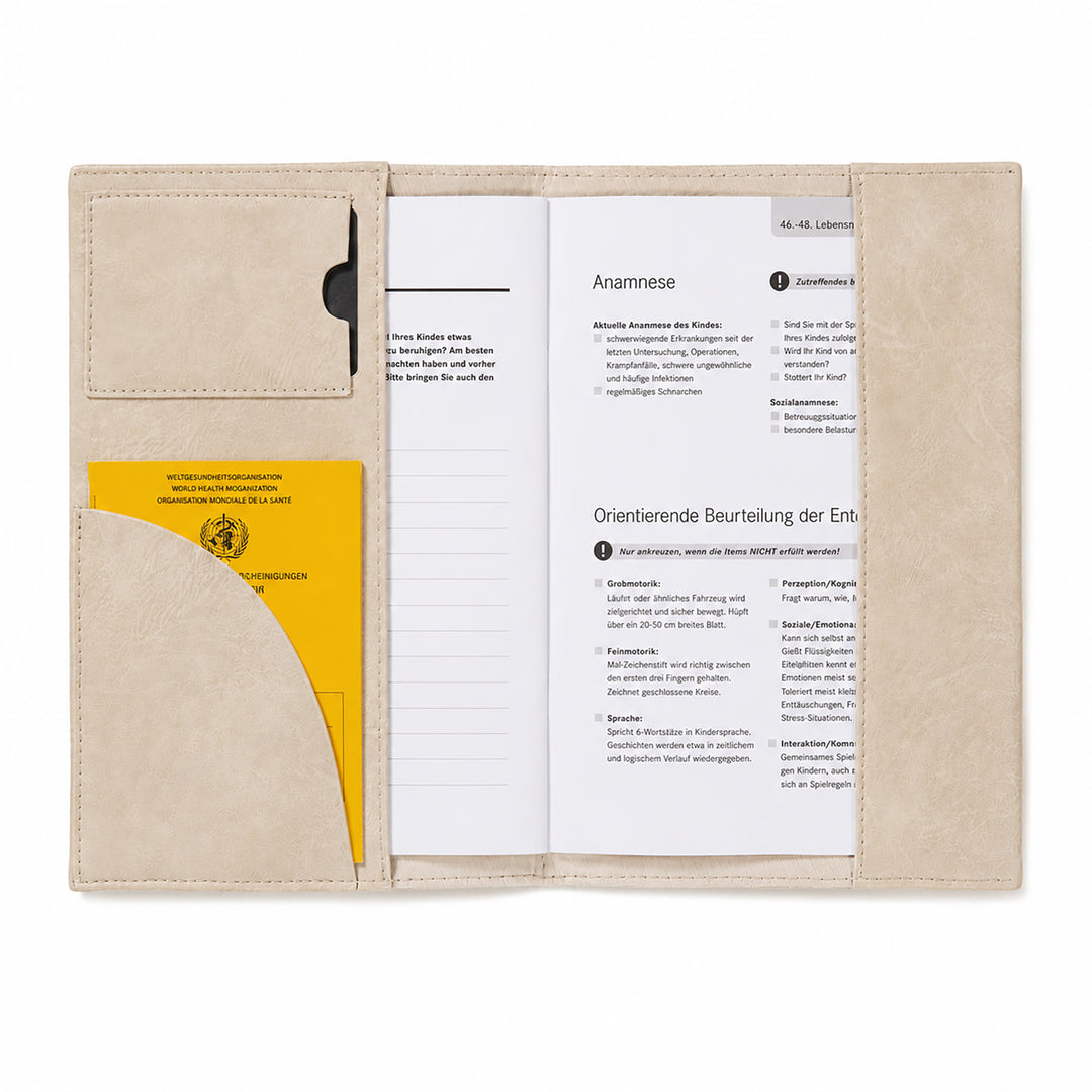 Document Organizer Bear