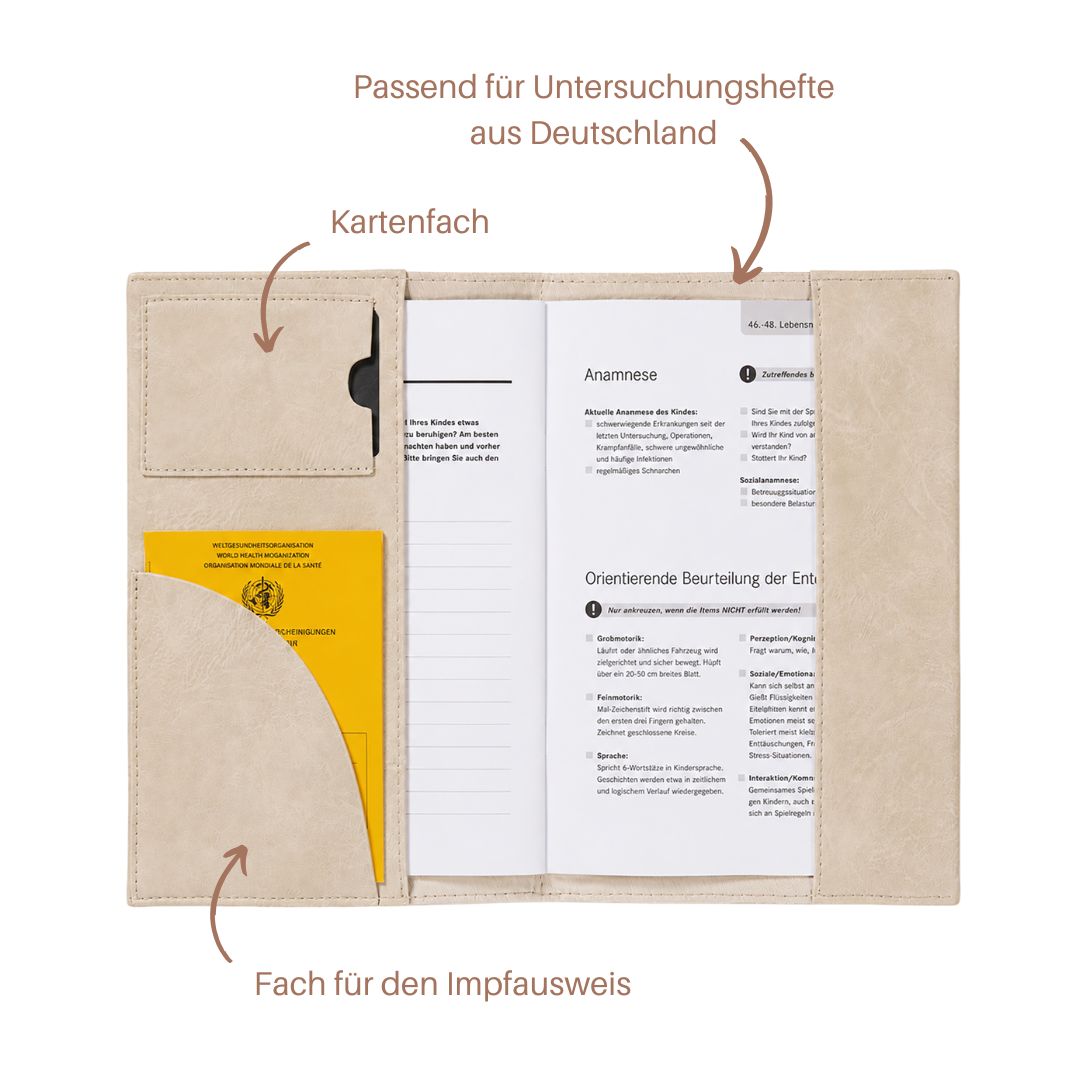 Document Organizer Bear