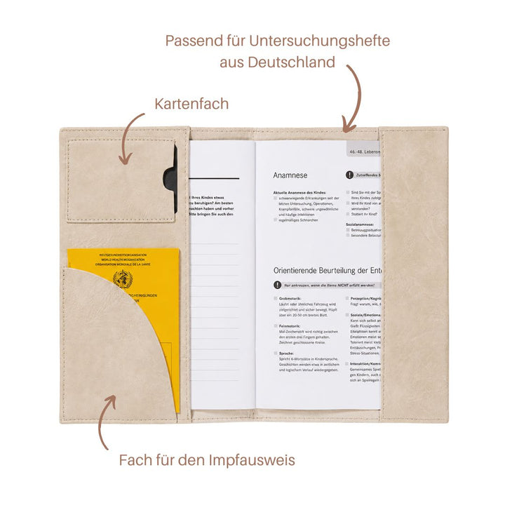 Document Organizer Bear